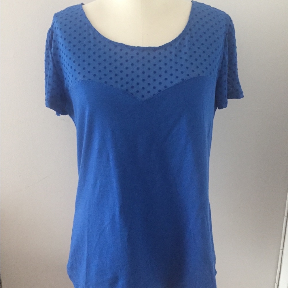 New Blue Swiss Dot T Shirt Size XL